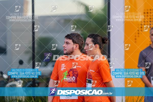 Foto 6532381
