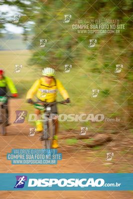Foto 6985764