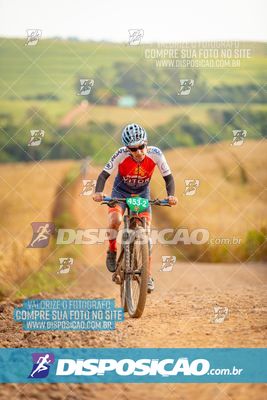 Foto 7011484