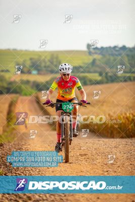 Foto 7029186