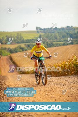 Foto 7031662