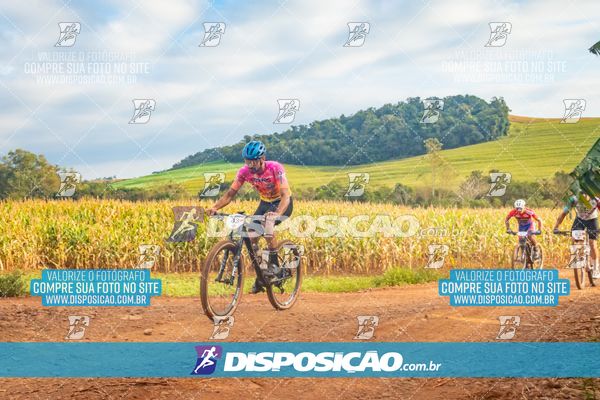 II GP Barbosa Ferraz - Ranking Noroeste