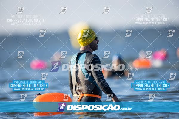 Foto 6586749