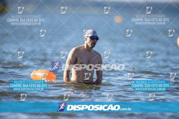 Foto 6586731