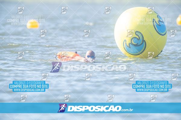 Foto 6586659