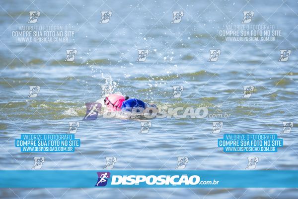 Foto 6586646