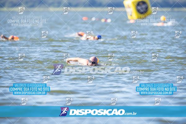 Foto 6586630