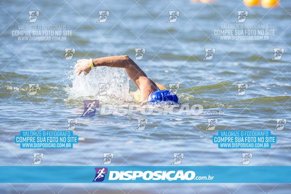 Foto 6586596