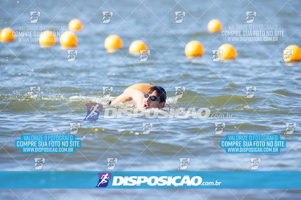 Foto 6586575