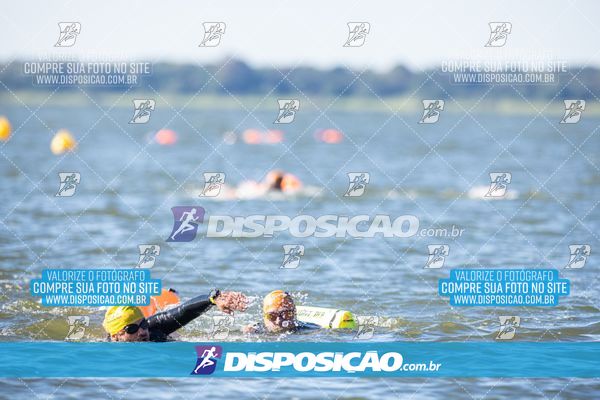 Foto 6586538