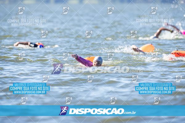 Foto 6586469