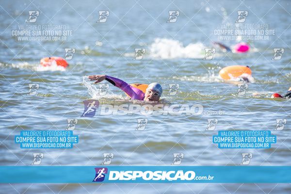 Foto 6586462