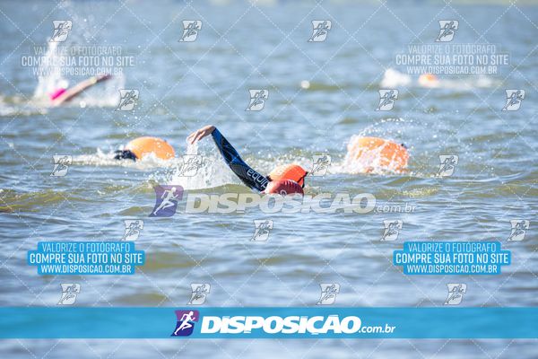 Foto 6586461
