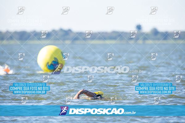 Foto 6586395