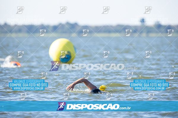 Foto 6586394