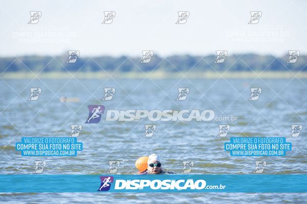Foto 6586359