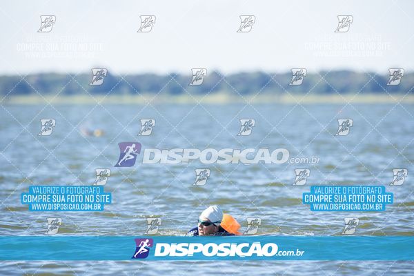 Foto 6586367