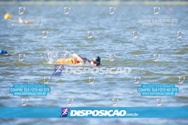 Foto 6586354