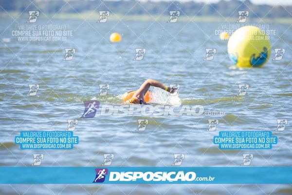 Foto 6586335