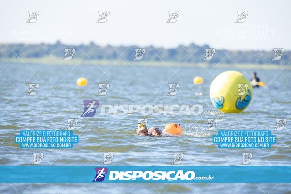 Foto 6586273