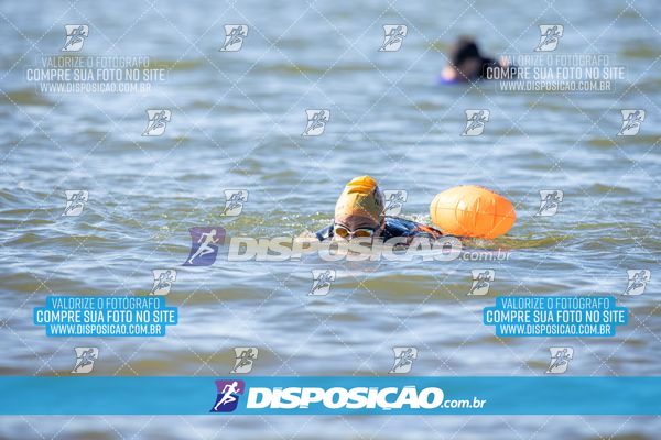 Foto 6586261