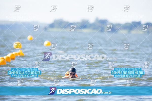 Foto 6586226