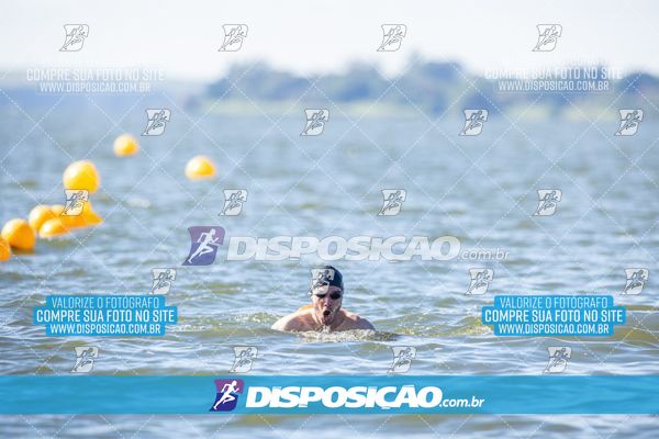 Foto 6586227