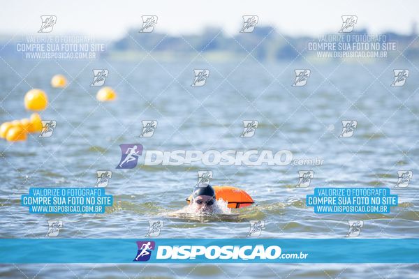 Foto 6586218