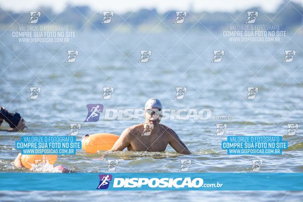 Foto 6586199