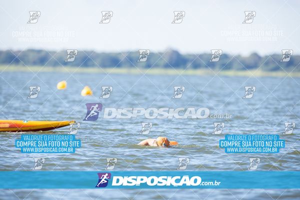 Foto 6586170