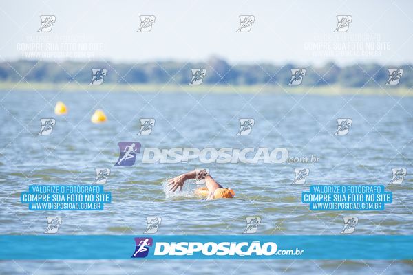 Foto 6586171