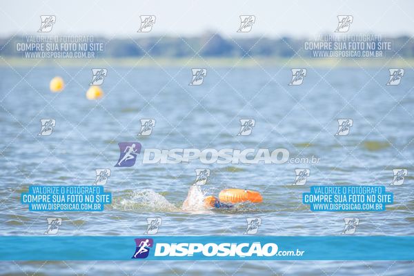 Foto 6586163