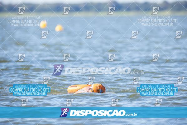 Foto 6586206