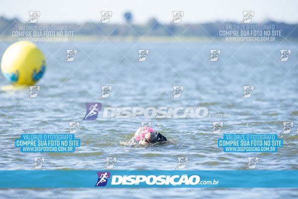 Foto 6586153
