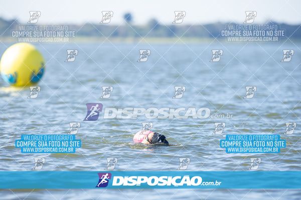 Foto 6586151