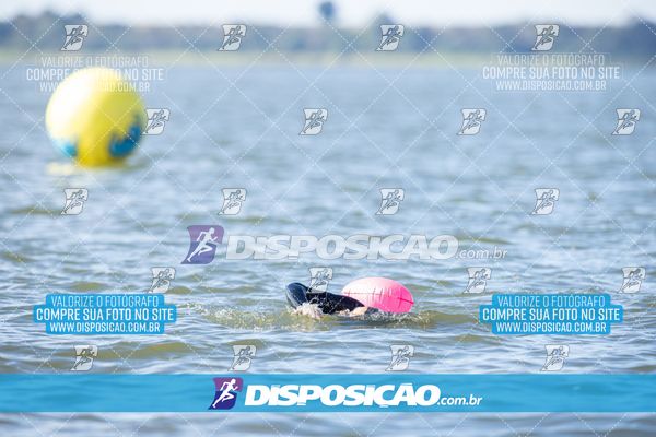 Foto 6586141