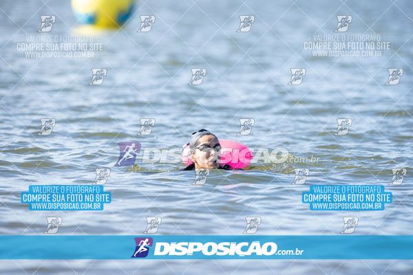 Foto 6586137