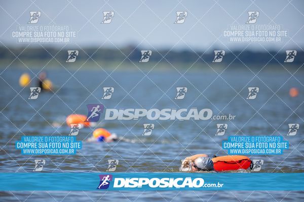 Foto 6585804