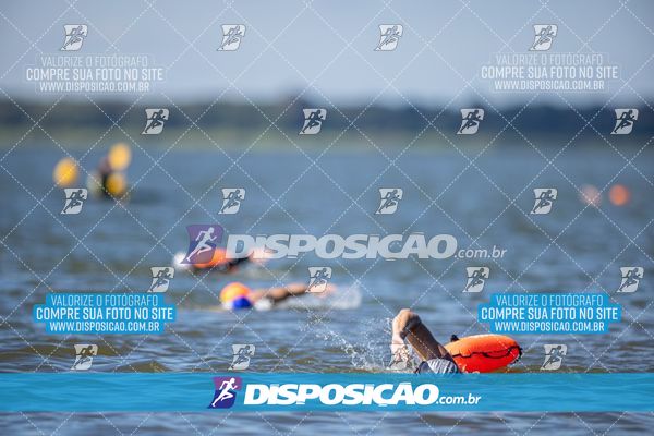 Foto 6585798