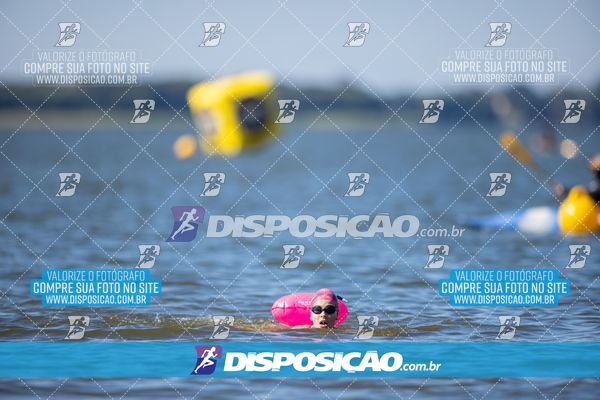 Foto 6585786