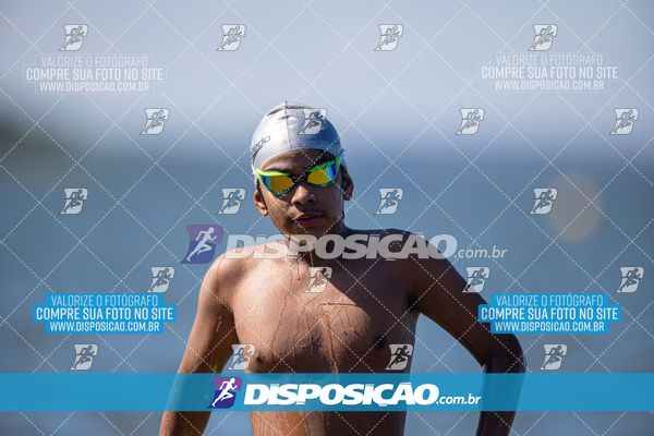 Foto 6585618