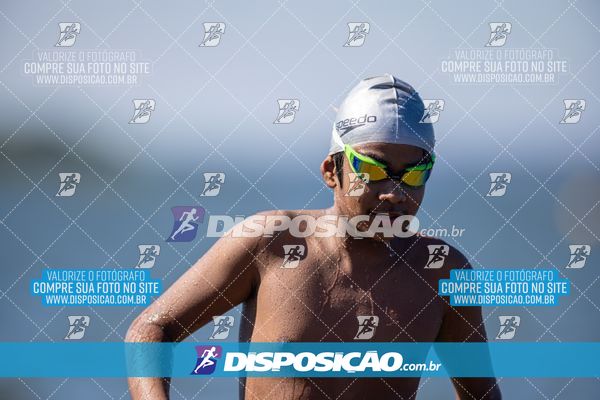 Foto 6585621