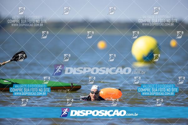 Foto 6585466