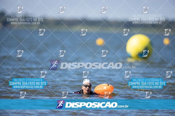 Foto 6585461