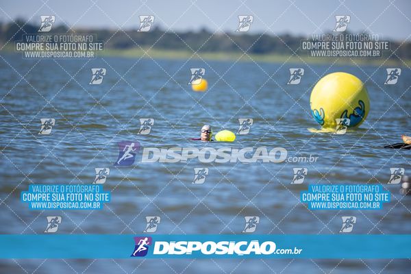 Foto 6585425