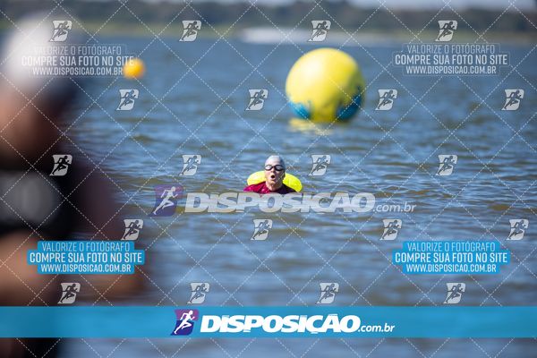 Foto 6585418
