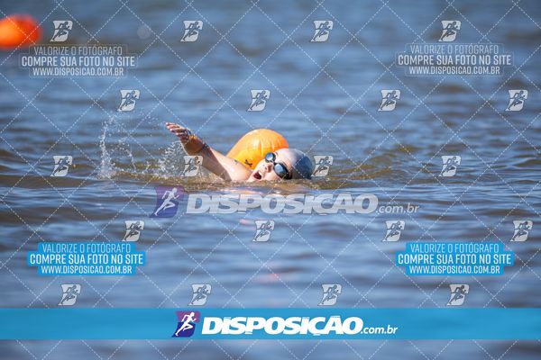 Foto 6585348