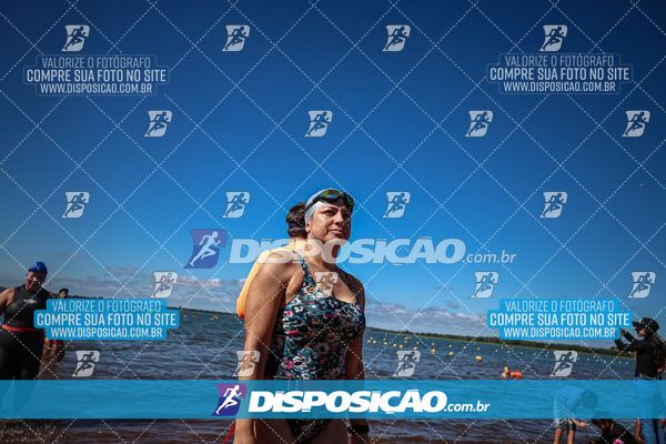 Foto 6584552