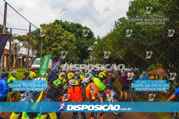 Foto 6573432