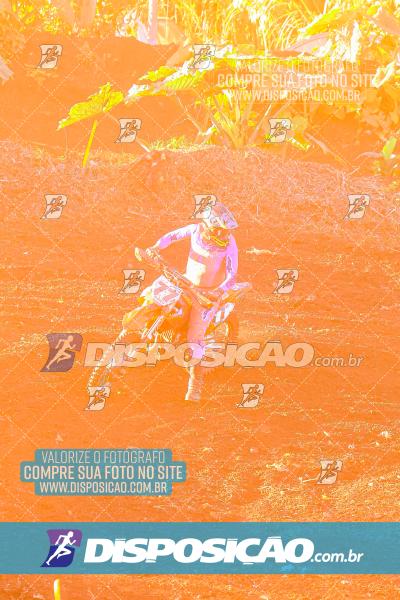 Foto 6581759